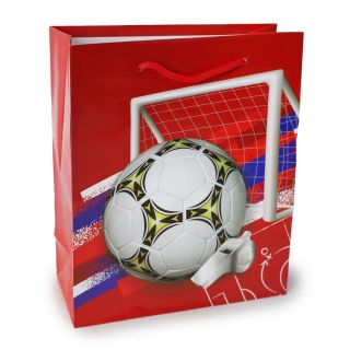 Bolsa Para Regalo Mediana Delgada Estampada Balones Con Accesorios Colores 21.5 x 18 Cm | HG25T-10