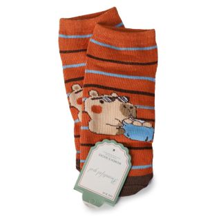 Calcetas Elásticas De Algodón Y Spandex Estampadas Capibara Bicolor Cortas 19 Cm | HM25-1 Mafu