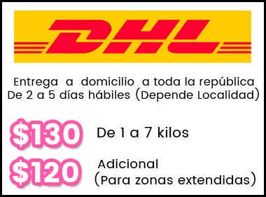 DHL Costo DHL